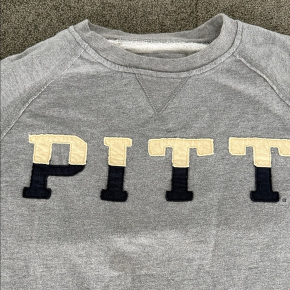 Sweatshirt Crewneck PITT Medium Sweater Univeristy of Pittsburgh Acedemia - Picture 4 of 10